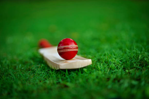 Cricket